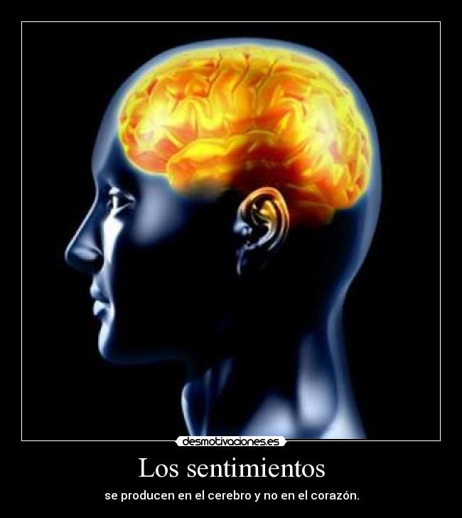 Los sentimientos - 
