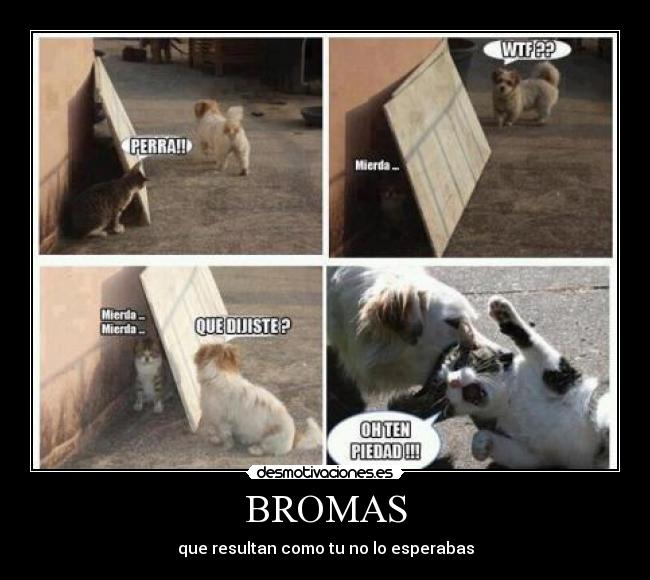 BROMAS - que resultan como tu no lo esperabas