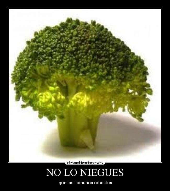 NO LO NIEGUES - que los llamabas arbolitos
