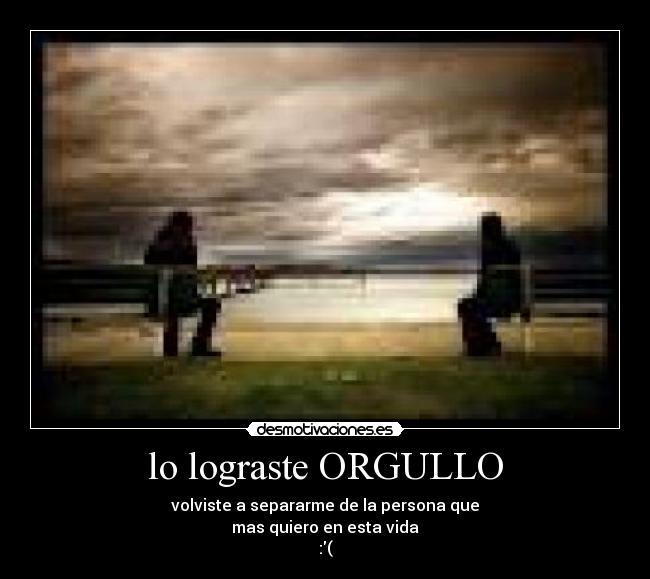 carteles maldito orgullo desmotivaciones