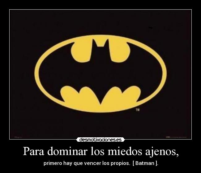 carteles batman begins desmotivaciones