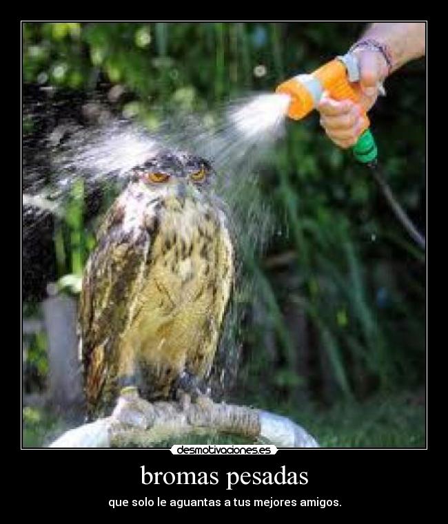 bromas pesadas - que solo le aguantas a tus mejores amigos.