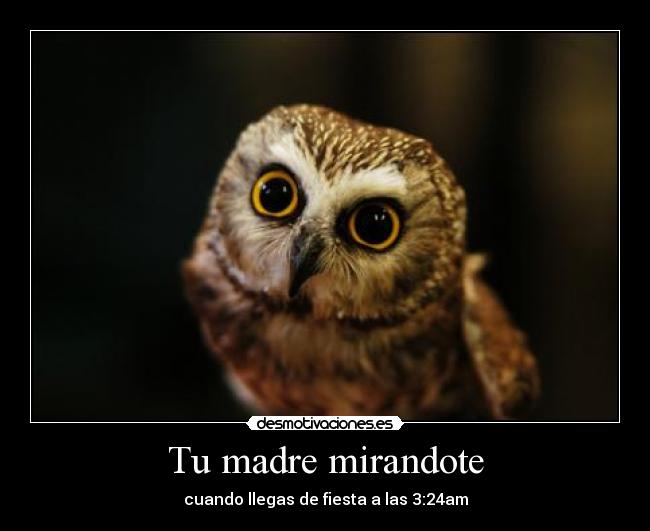 Tu madre mirandote - 