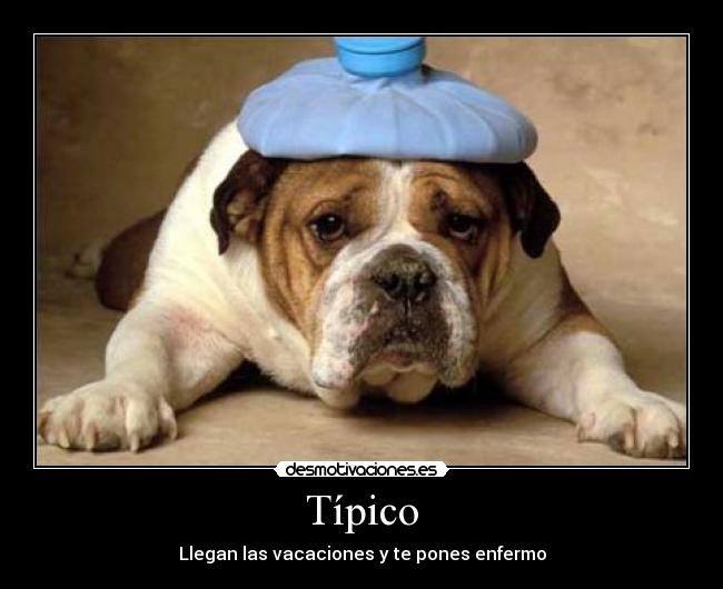Típico -