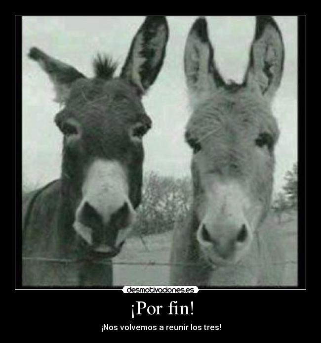 ¡Por fin! - ¡Nos volvemos a reunir los tres!