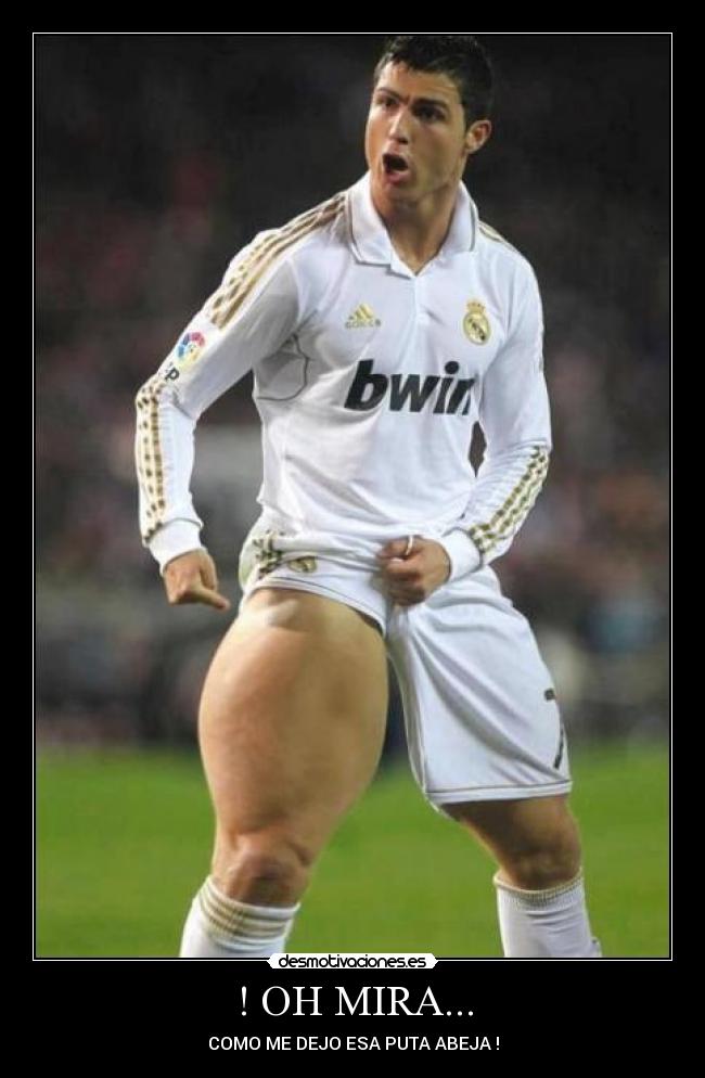 ! OH MIRA... - COMO ME DEJO ESA PUTA ABEJA !