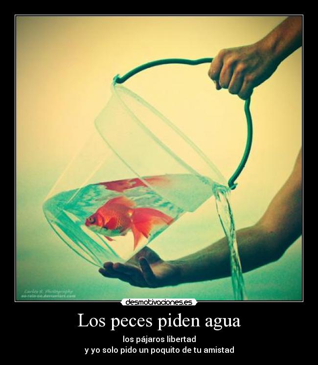 Los peces piden agua - los pájaros libertad
y yo solo pido un poquito de tu amistad