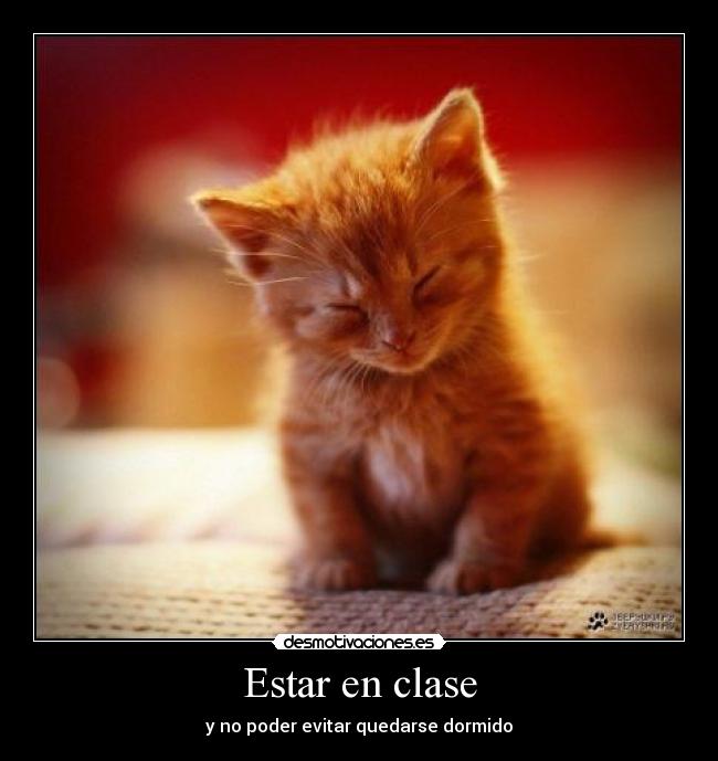 Estar en clase - 