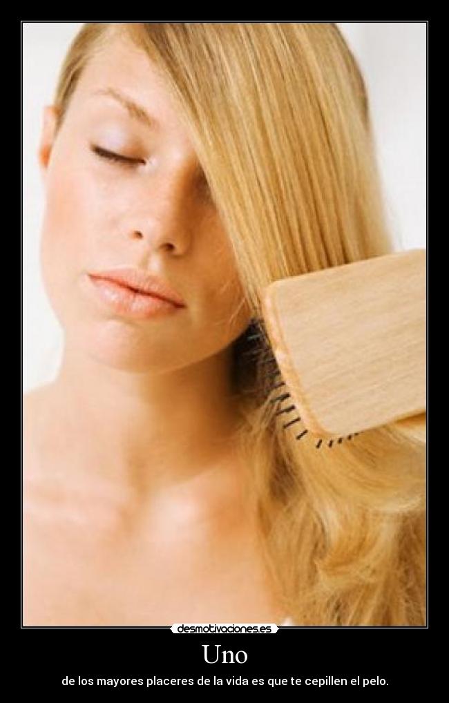 Uno - de los mayores placeres de la vida es que te cepillen el pelo.