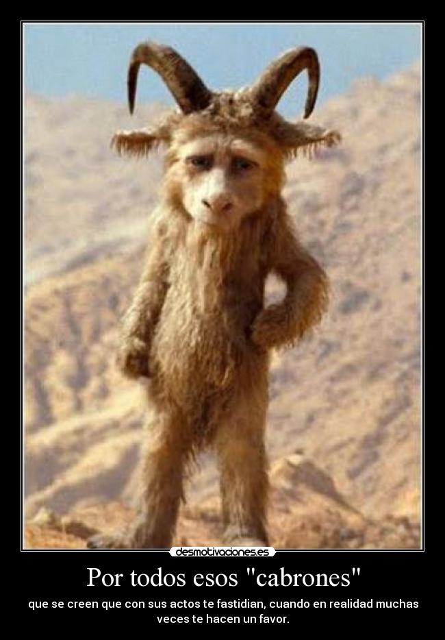 carteles que hagan favor desmotivaciones