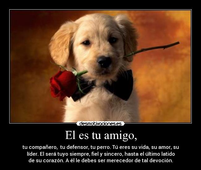 El es tu amigo, - tu compañero, tu defensor, tu perro. Tú eres su vida, su amor, su
líder. El será tuyo siempre, fiel y sincero, hasta el último latido
de su corazón. A él le debes ser merecedor de tal devoción.