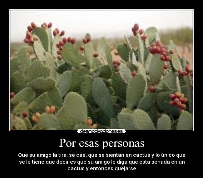 Por esas personas - Que su amigo la tira, se cae, que se sientan en cactus y lo único que
se le tiene que decir es que su amigo le diga que esta senada en un
cactus y entonces quejarse