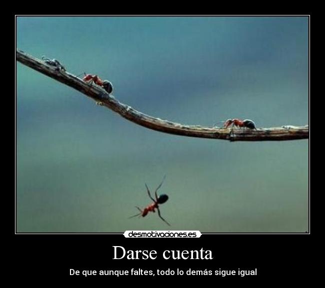 Darse cuenta - De que aunque faltes, todo lo demás sigue igual