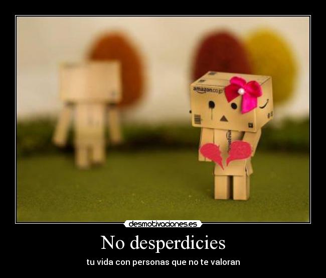 No desperdicies -