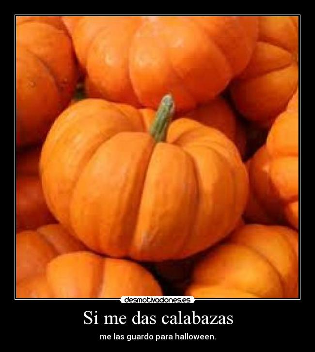 Si me das calabazas - me las guardo para halloween.