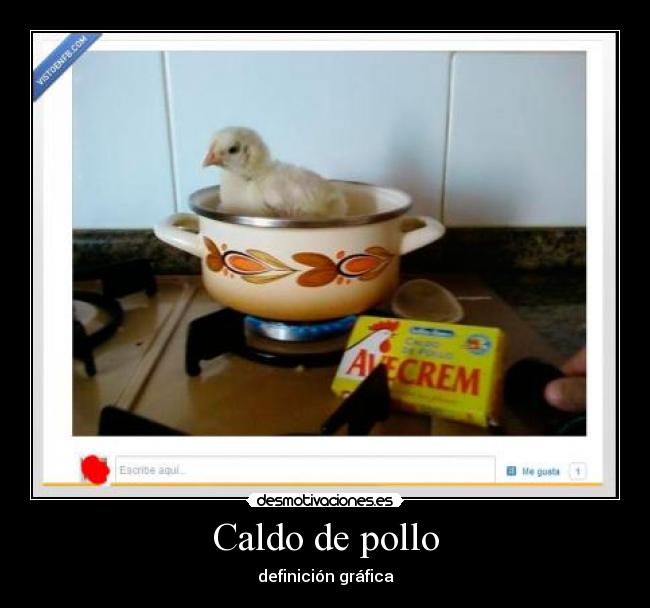 Caldo de pollo - definición gráfica
