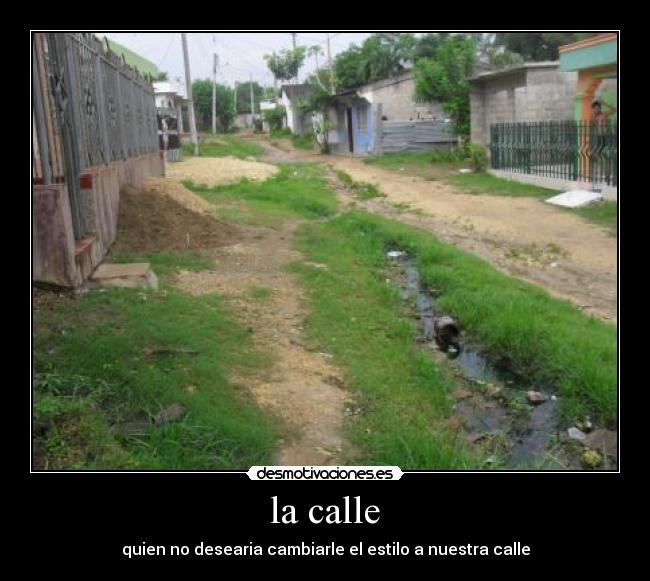 carteles manuela crespo chavez desmotivaciones