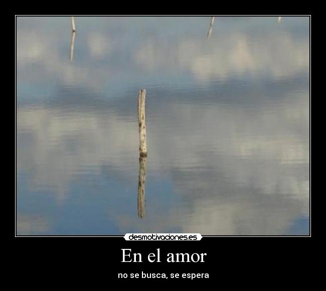 En el amor - no se busca, se espera