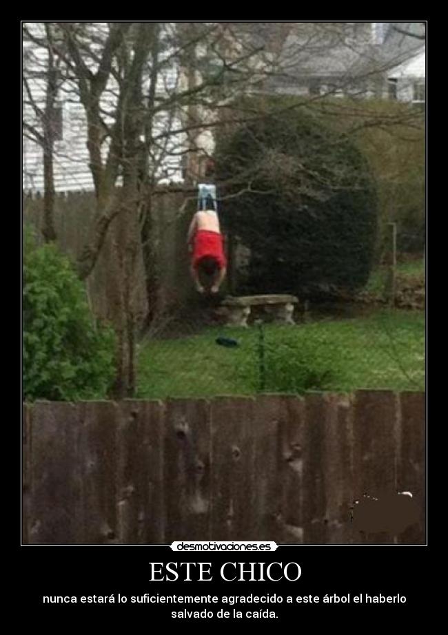 ESTE CHICO - nunca estará lo suficientemente agradecido a este árbol el haberlo salvado de la caída.