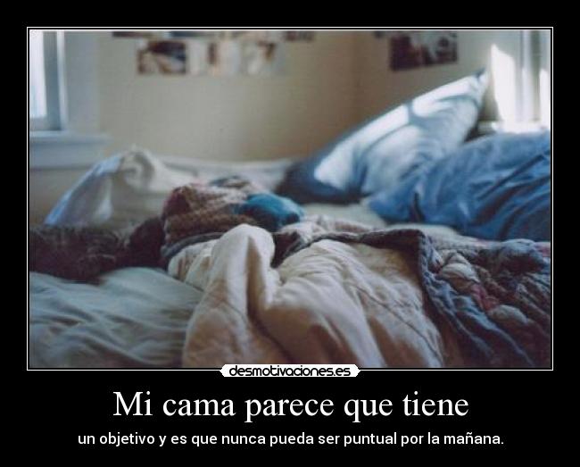 Mi cama parece que tiene -