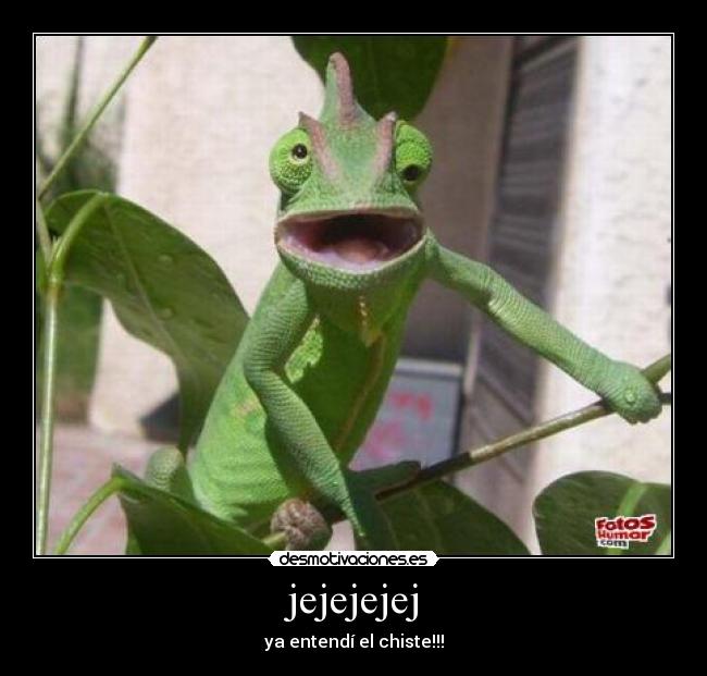 jejejejej - ya entendí el chiste!!!