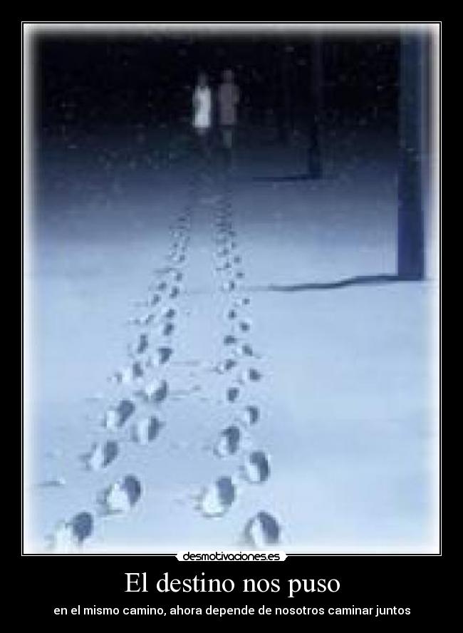 El destino nos puso - en el mismo camino, ahora depende de nosotros caminar juntos