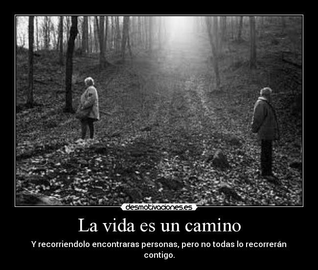 La vida es un camino - Y recorriendolo encontraras personas, pero no todas lo recorrerán contigo.