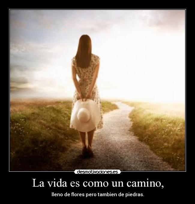 La vida es como un camino, - 