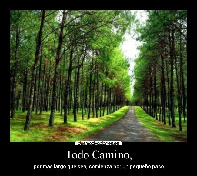 carteles camino desmotivaciones