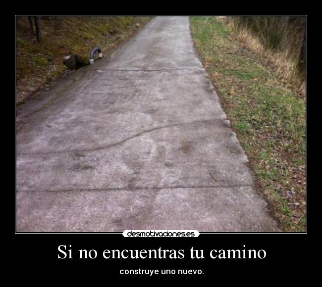 Si no encuentras tu camino - 