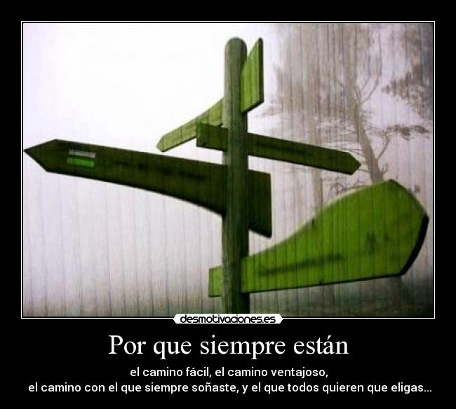 carteles decisiones dificiles caminos cual elegir desmotivaciones