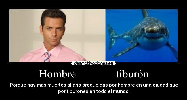 Hombre tiburón - Porque hay mas muertes al año producidas por hombre en una ciudad que
por tiburones en todo el mundo.