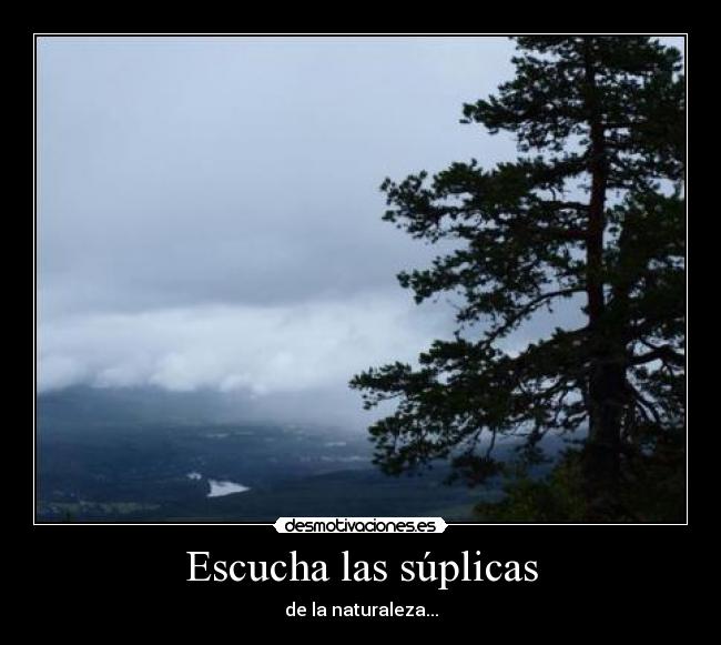 Escucha las súplicas - de la naturaleza...