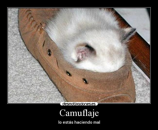 Camuflaje - lo estás haciendo mal