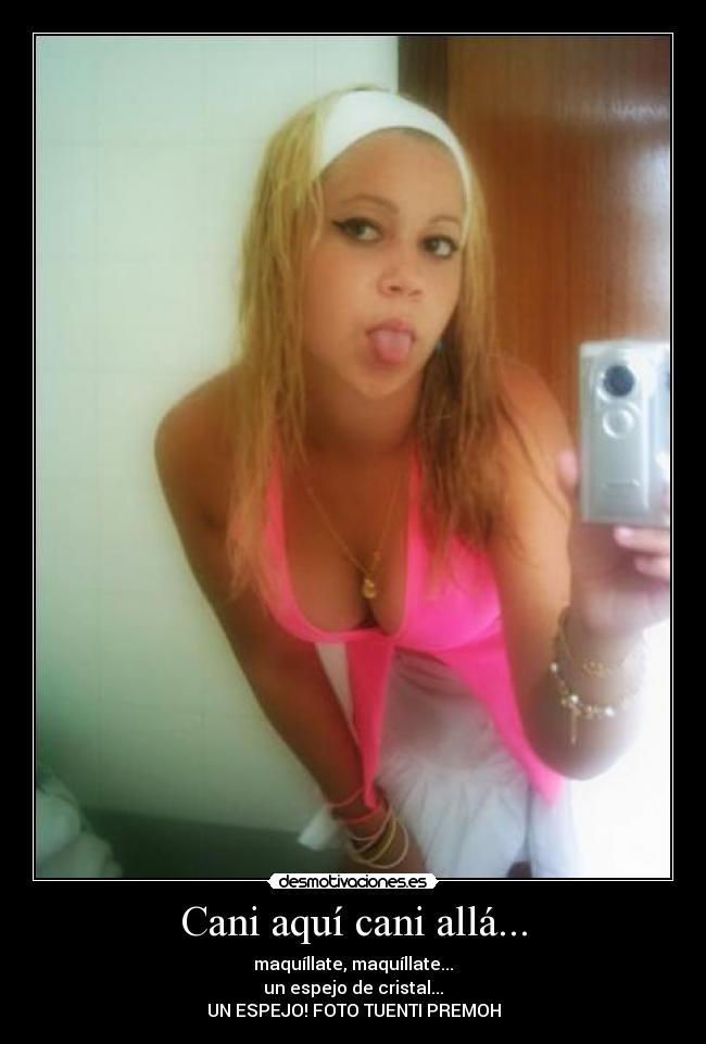 Cani aquí cani allá... -