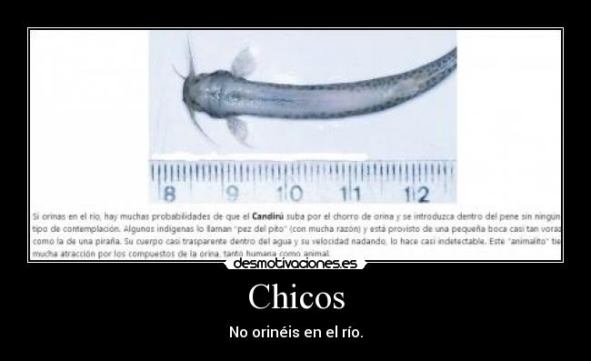 Chicos - No orinéis en el río.