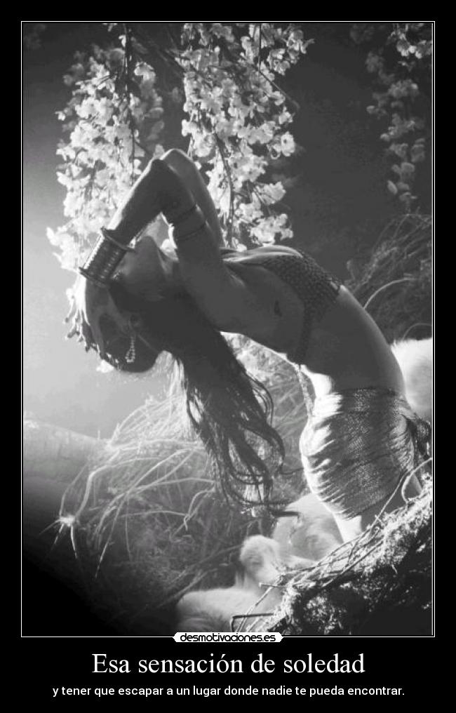 carteles soledad alejandrocabreracabrera desmotivaciones