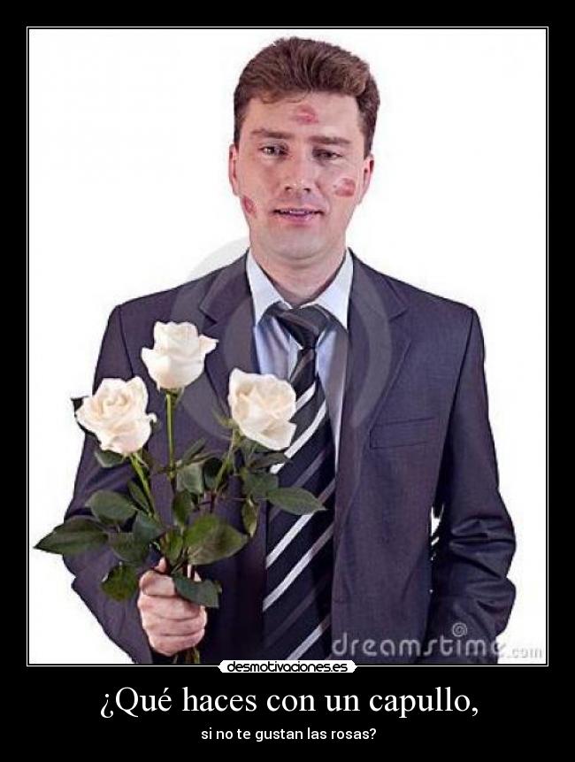 carteles capullo rosas desmotivaciones