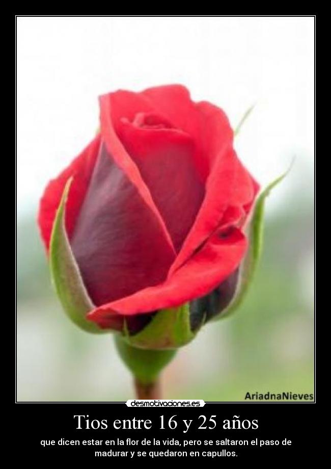 carteles ariadnanieves desmotivaciones