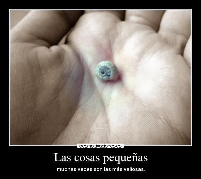 Las cosas pequeñas - muchas veces son las más valiosas.