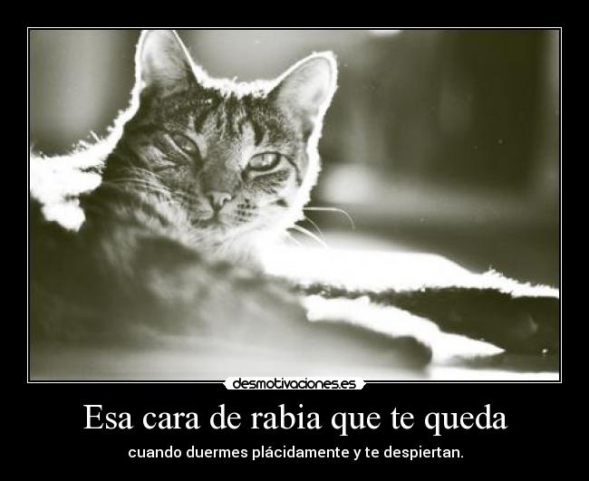 Esa cara de rabia que te queda - 