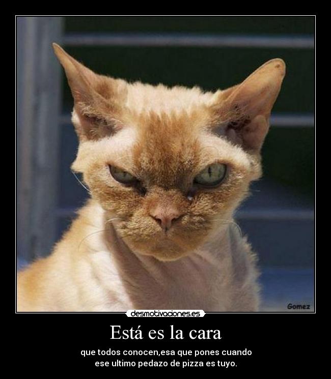 Está es la cara - que todos conocen,esa que pones cuando
ese ultimo pedazo de pizza es tuyo.