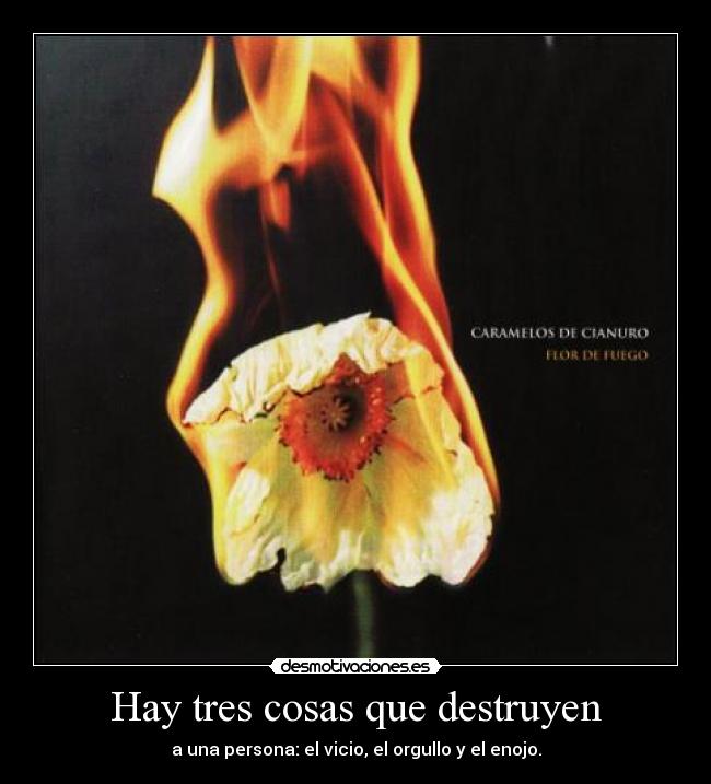 carteles hay tres cosas que destruyen una persona desmotivaciones