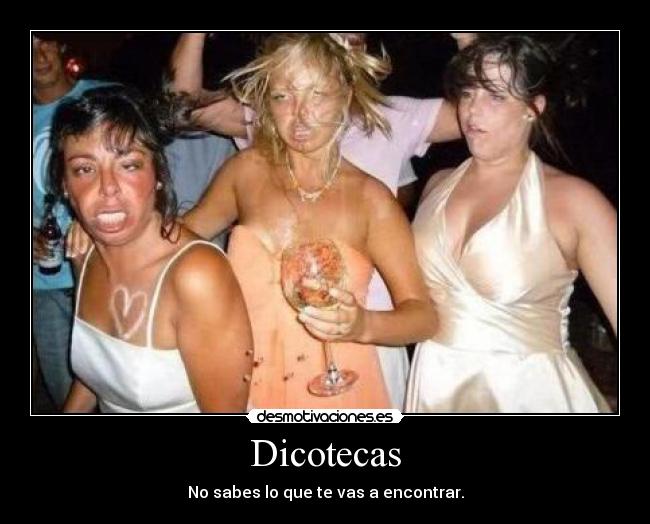 Dicotecas - 