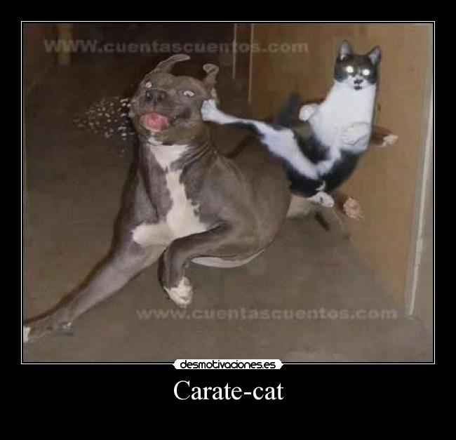 Carate-cat -