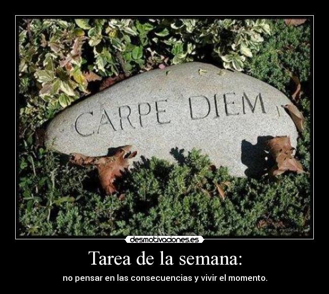 carteles vivir momento desmotivaciones