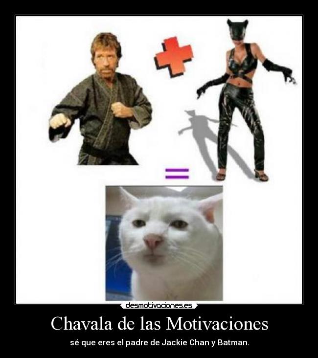 Chavala de las Motivaciones - sé que eres el padre de Jackie Chan y Batman.