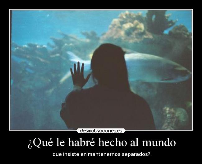 ¿Qué le habré hecho al mundo - 