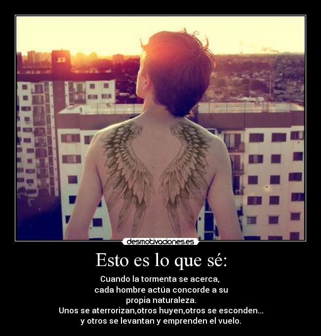 Esto es lo que sé: - Cuando la tormenta se acerca, 
cada hombre actúa concorde a su
propia naturaleza.
Unos se aterrorizan,otros huyen,otros se esconden...
y otros se levantan y emprenden el vuelo.