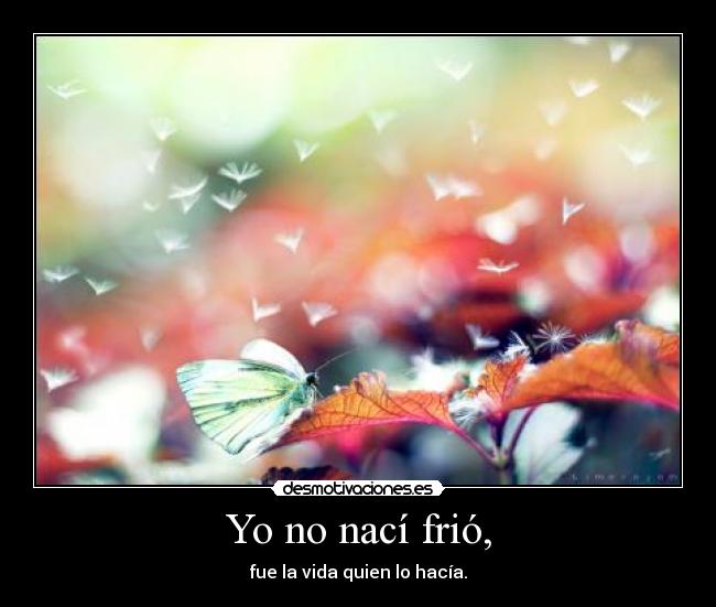 carteles aha crazyclub puta cara desmotivaciones